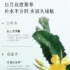 谷雨月见仙人掌水乳套装补水保湿干皮舒缓学生化妆品护肤品女正品