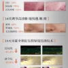 RNTOU胶原面霜紧致抗皱抗初老抗氧提亮去黄修复皮肤屏障油皮保湿